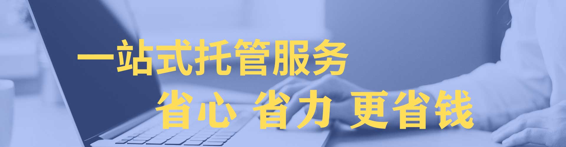 林园sem开户